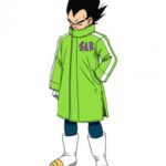 Dragon Ball Super Series Broly Vegeta SAB Coat