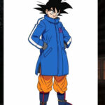 Dragon Ball Super Vegeta SAB Coat - Image 8