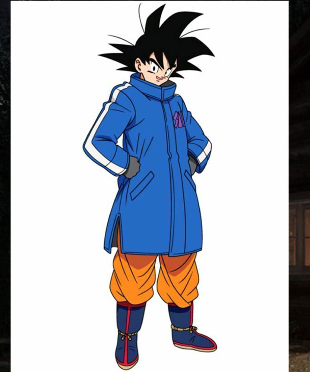 Dragon-Ball-Super-Series-Broly-Vegeta-SAB-Coat-Blue