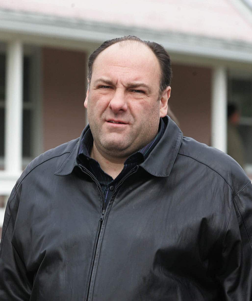 Tony Soprano James Gandolfini Black Leather Jacket USA Leather Factory