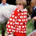 Princess Diana Sheep Pattern Red Sweater