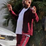Martin Lawrence Bad Boys Ride or Die Track Purple Suit