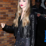 Amanda Seyfried Leather Jacket Online