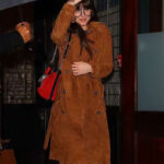 Dakota Johnson Brown Suede Coat