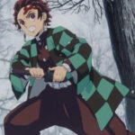 Demon Slayer Tanjiro Haori Cosplay Jacket