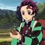 Demon Slayer Tanjiro Haori Cosplay Jacket - Image 3