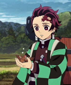 Demon Slayer Tanjiro Haori Cosplay Jacket - Image 3