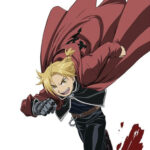 Fullmetal Alchemist Edward Elric Costume