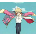 Howl's Moving Castle Coat USA
