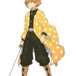 Zenitsu Agatsuma Demon Slayer Coat