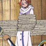 Nami White Coat