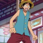 Monkey D. Luffy Blue Vest