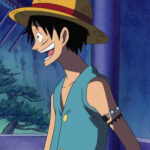 Monkey D. Luffy Blue Vest