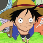 Monkey D. Luffy Blue Vest