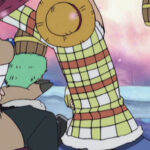 Monkey D. Luffy Checkered Jacket