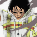 Monkey D. Luffy Checkered Jacket