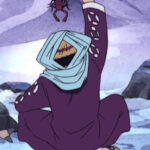 Monkey D. Luffy Purple Coat