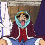 Monkey D. Luffy Purple Coat