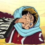 Monkey D. Luffy Purple Coat
