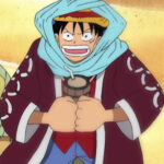 Monkey D. Luffy Purple Coat