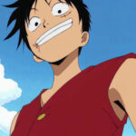 Monkey D. Luffy Red Vest