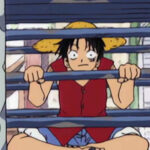 Monkey D. Luffy Red Vest