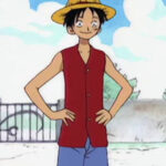 Monkey D. Luffy Red Vest