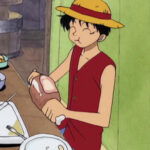 Monkey D. Luffy Red Vest