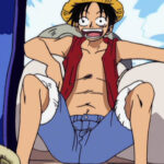 Monkey D. Luffy Red Vest
