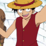 Monkey D. Luffy Red Vest