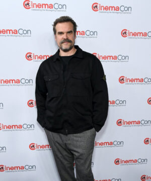 David Harbour Jacket