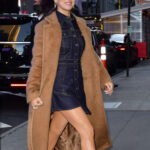 Hailee Steinfeld Coat