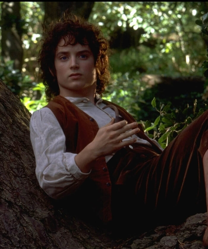 the-lord-of-the-rings-frodo-brown-vest Frodo Brown Vest